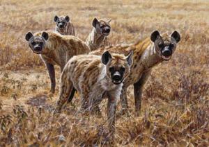 Hyena pack